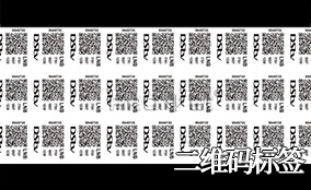 LETOU乐投A-1喷码平台一体机Technical Parameters